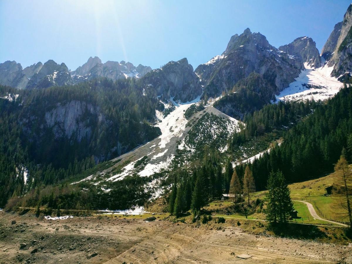 Pension Edelweiss Top 25 غوساو المظهر الخارجي الصورة
