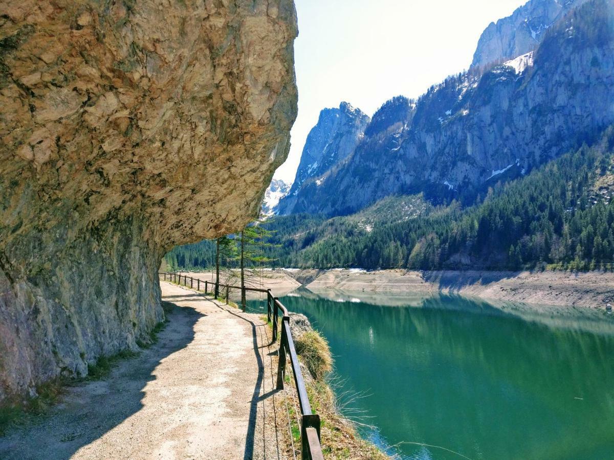 Pension Edelweiss Top 25 غوساو المظهر الخارجي الصورة